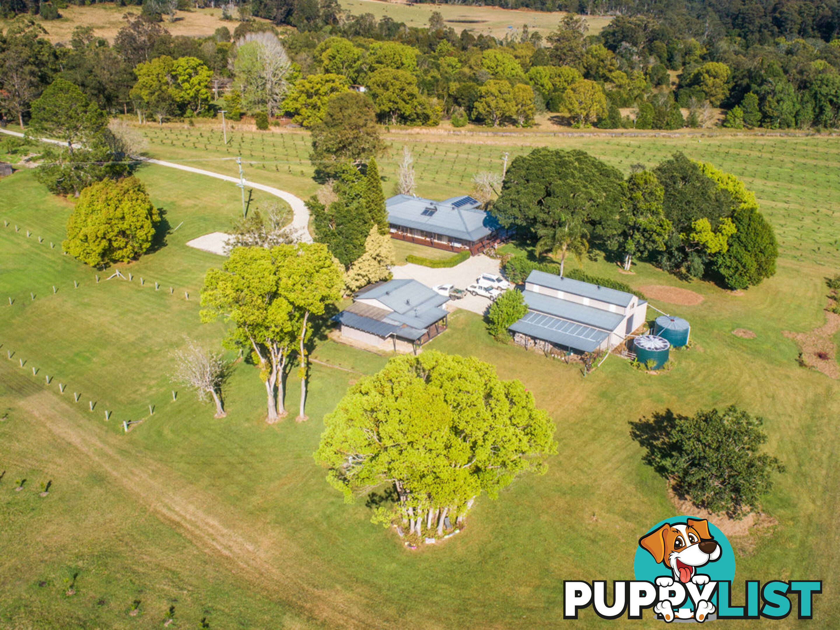 606 Valery Road VALERY NSW 2454