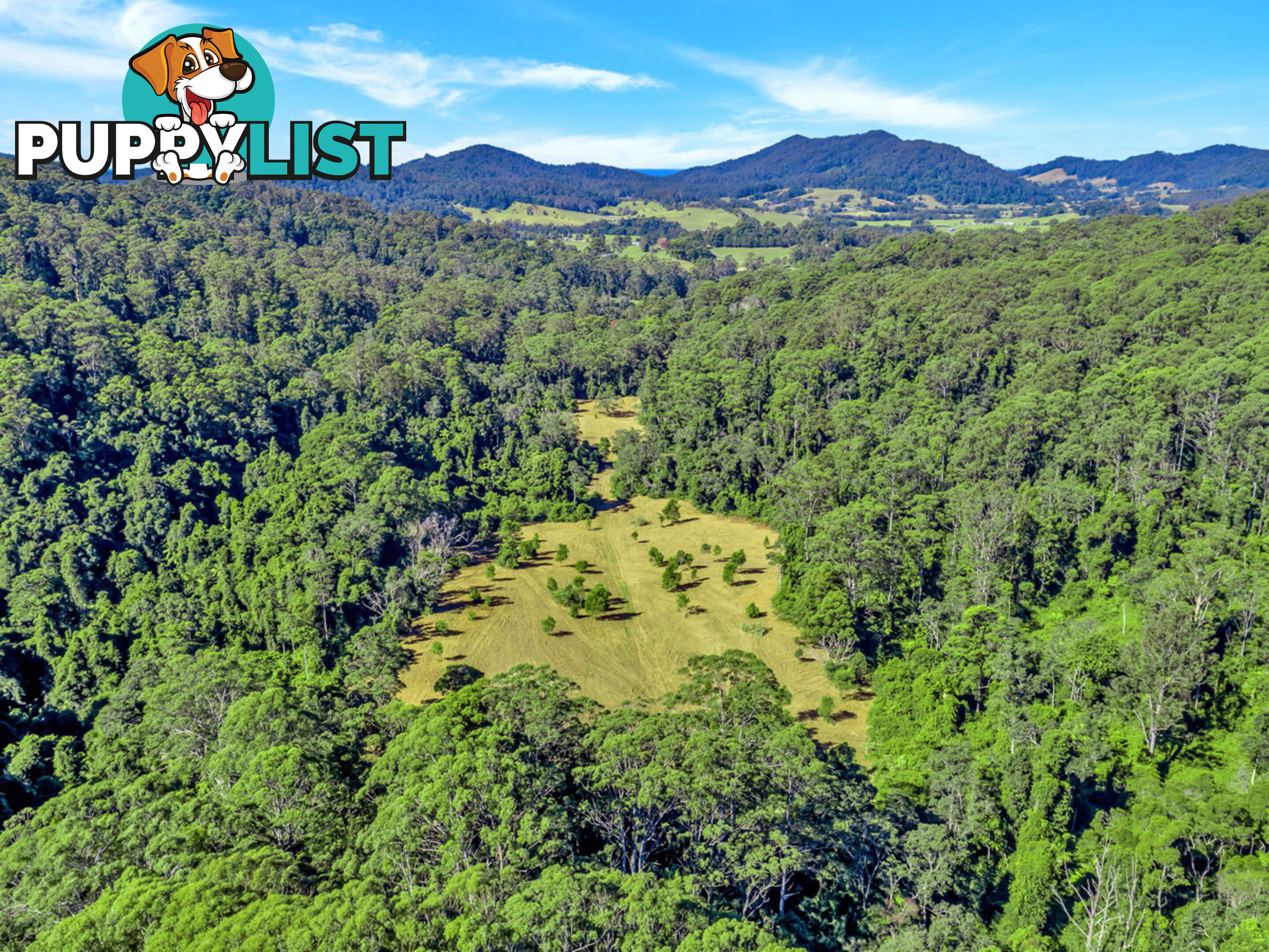 118 North Island Loop Road UPPER ORARA NSW 2450