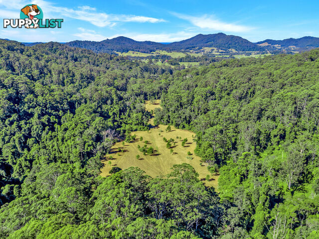 118 North Island Loop Road UPPER ORARA NSW 2450