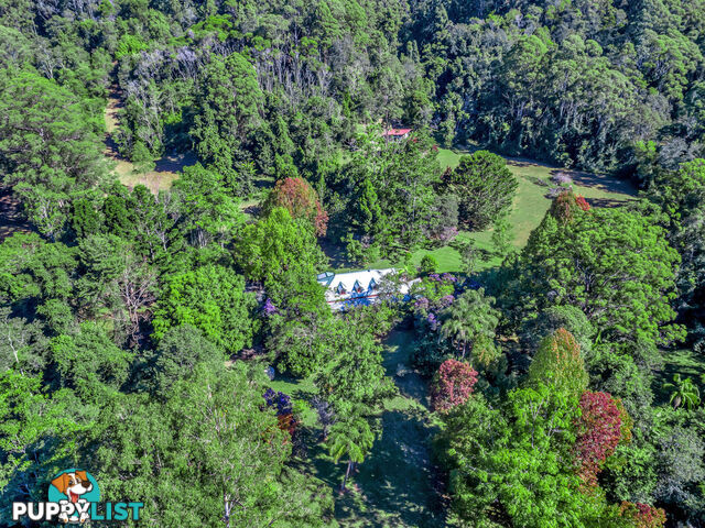 118 North Island Loop Road UPPER ORARA NSW 2450