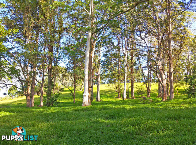 118 North Island Loop Road UPPER ORARA NSW 2450