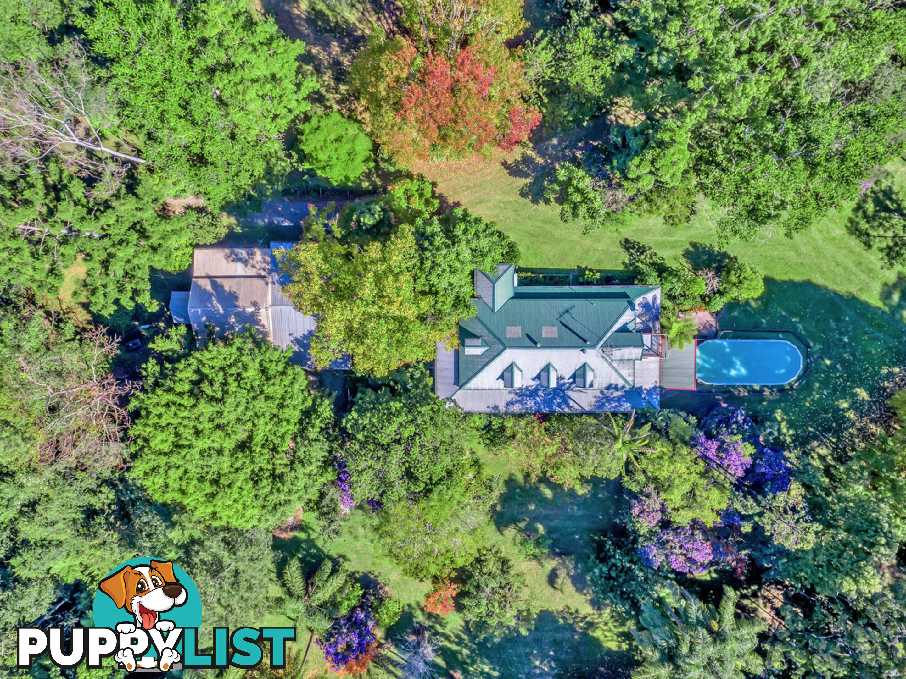 118 North Island Loop Road UPPER ORARA NSW 2450