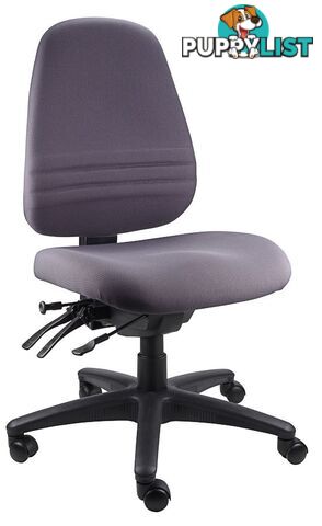 Fully Ergonomic Chair  AFRDI LOAD RATED TO 160kg SS