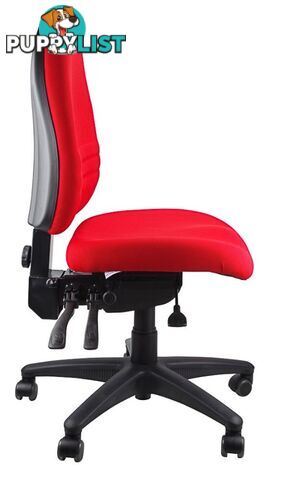 Fully Ergonomic Chair  AFRDI LOAD RATED TO 160kg SS