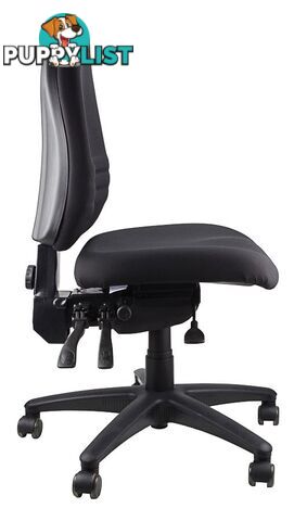 Fully Ergonomic Chair  AFRDI LOAD RATED TO 160kg SS