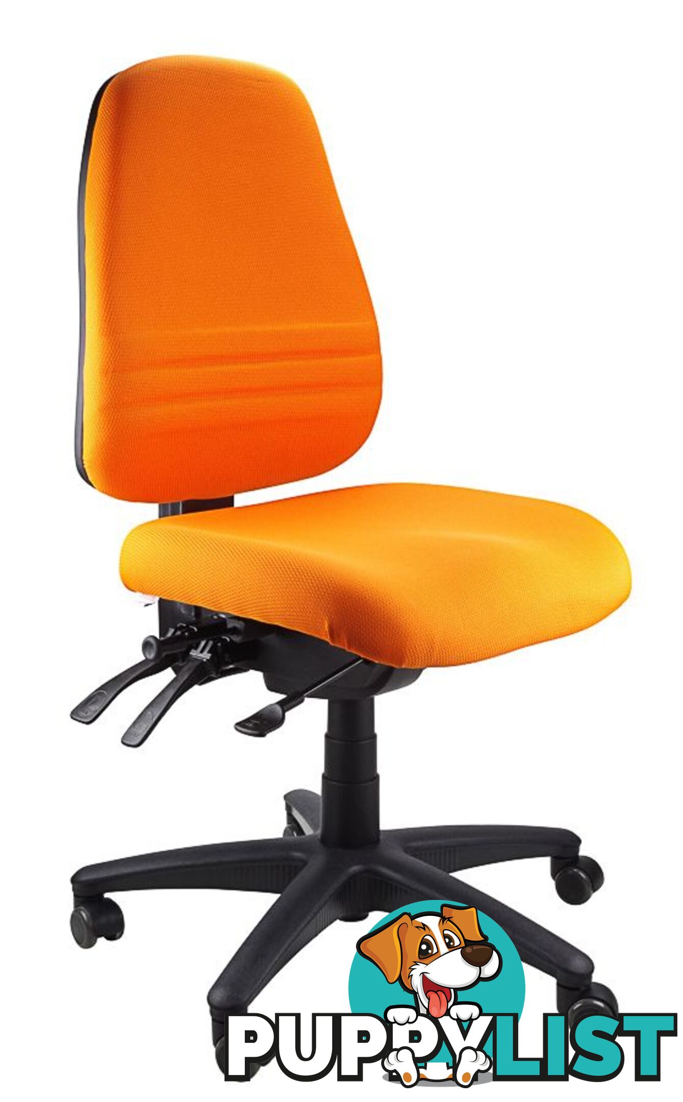 Fully Ergonomic Chair  AFRDI LOAD RATED TO 160kg SS