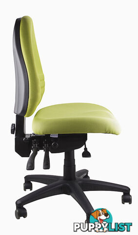 Fully Ergonomic Chair  AFRDI LOAD RATED TO 160kg SS