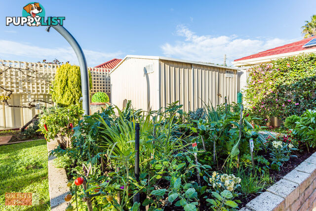 11 Moira Mews STRATTON WA 6056