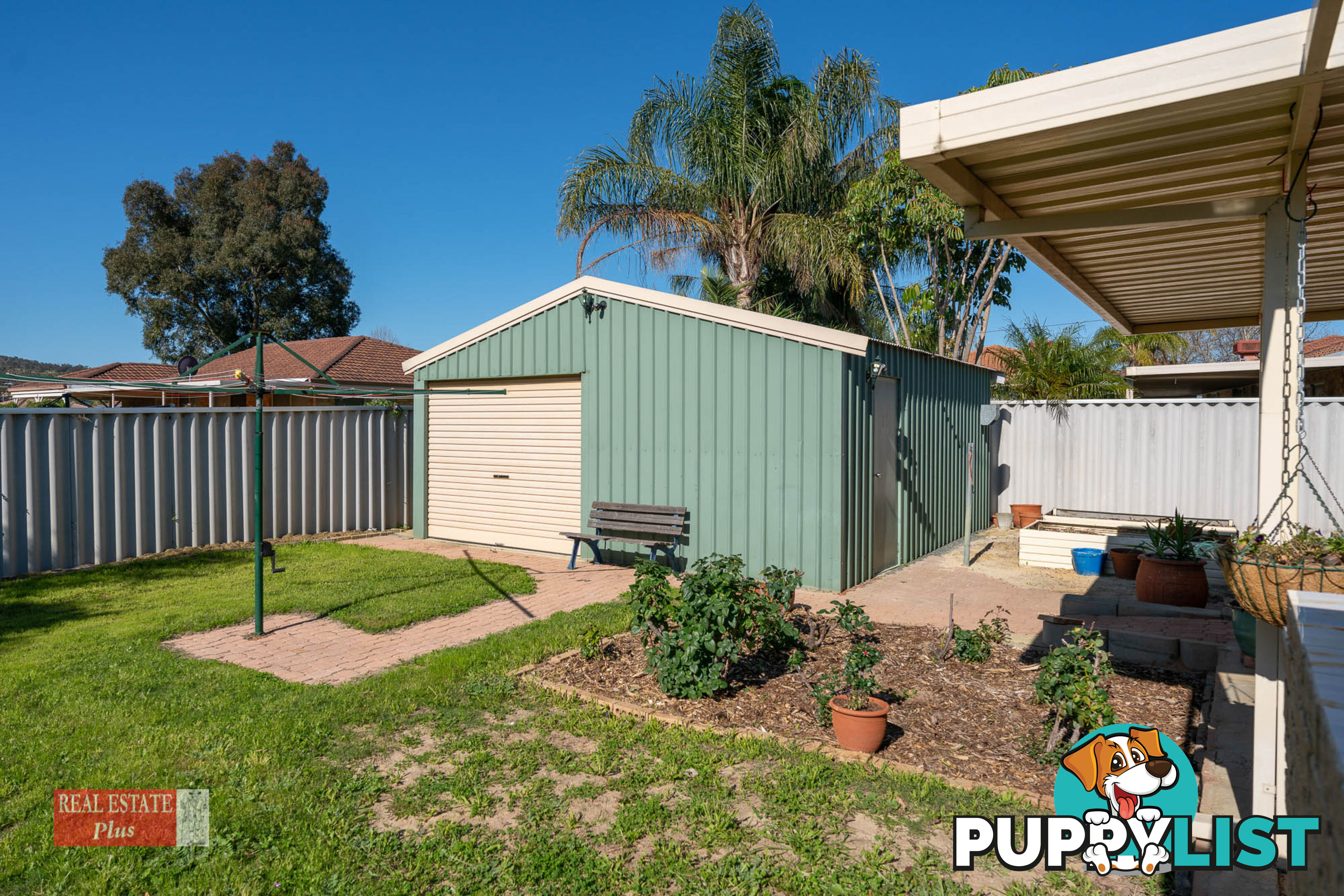 19 Waterlily Drive STRATTON WA 6056