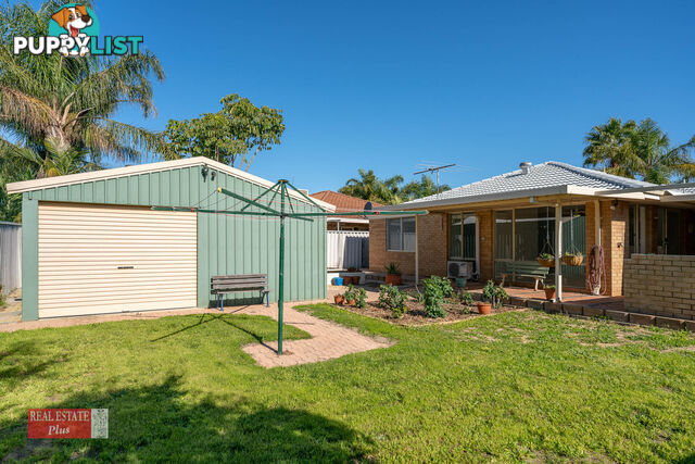 19 Waterlily Drive STRATTON WA 6056