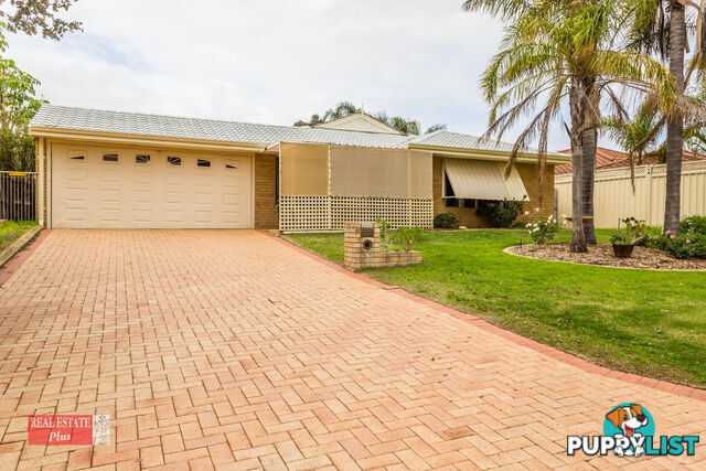 19 Waterlily Drive STRATTON WA 6056