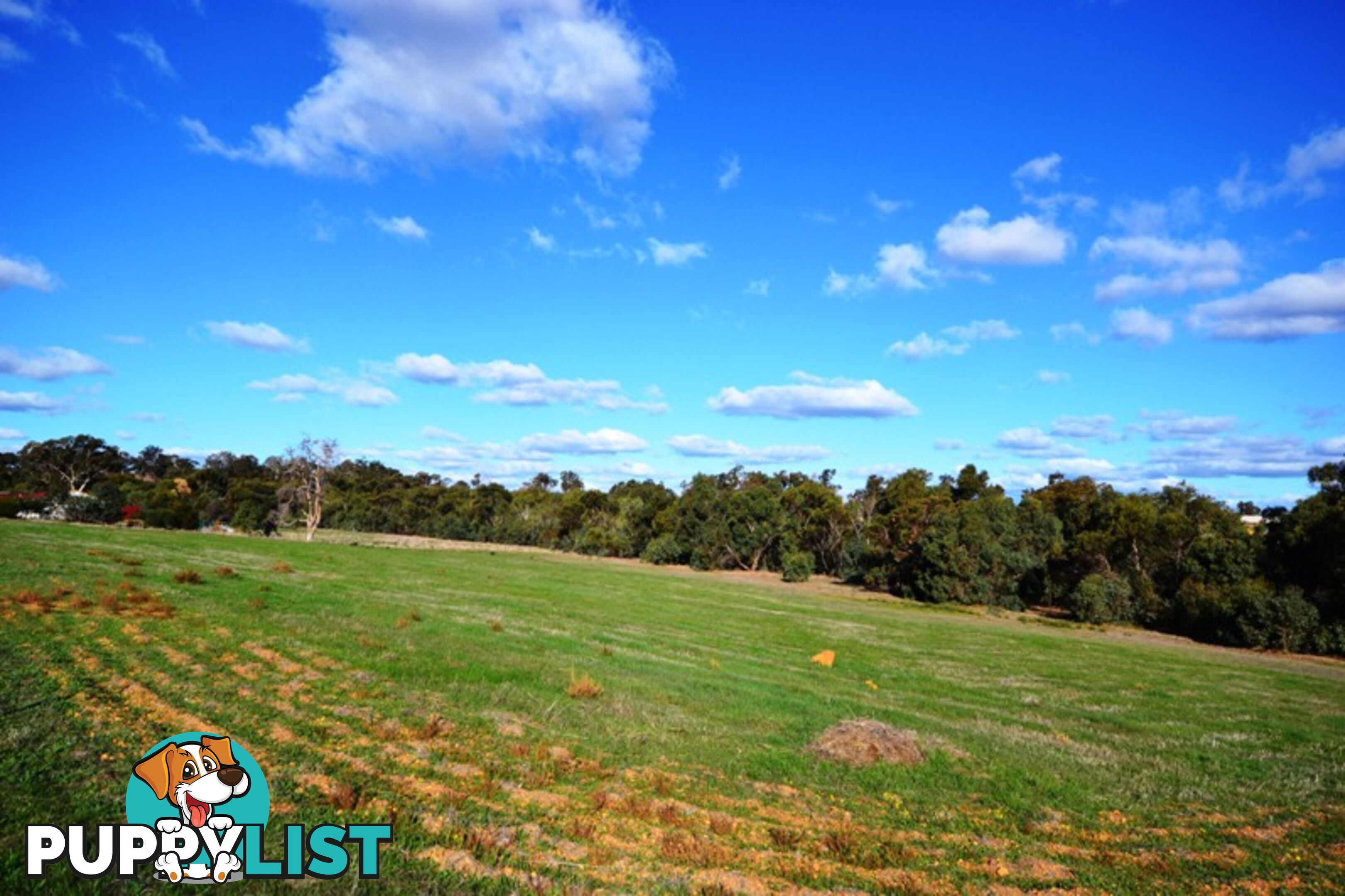 Lot 345 Gleeson Hill Road BAKERS HILL WA 6562