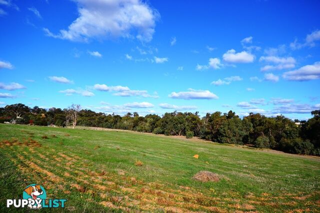 Lot 345 Gleeson Hill Road BAKERS HILL WA 6562