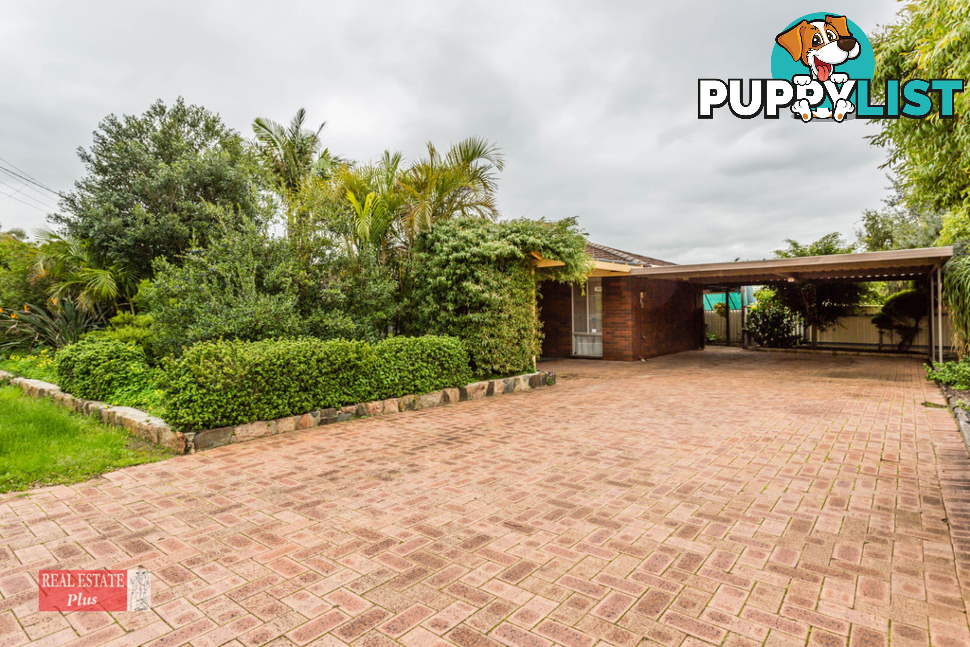 19 Redgum Avenue BELLEVUE WA 6056