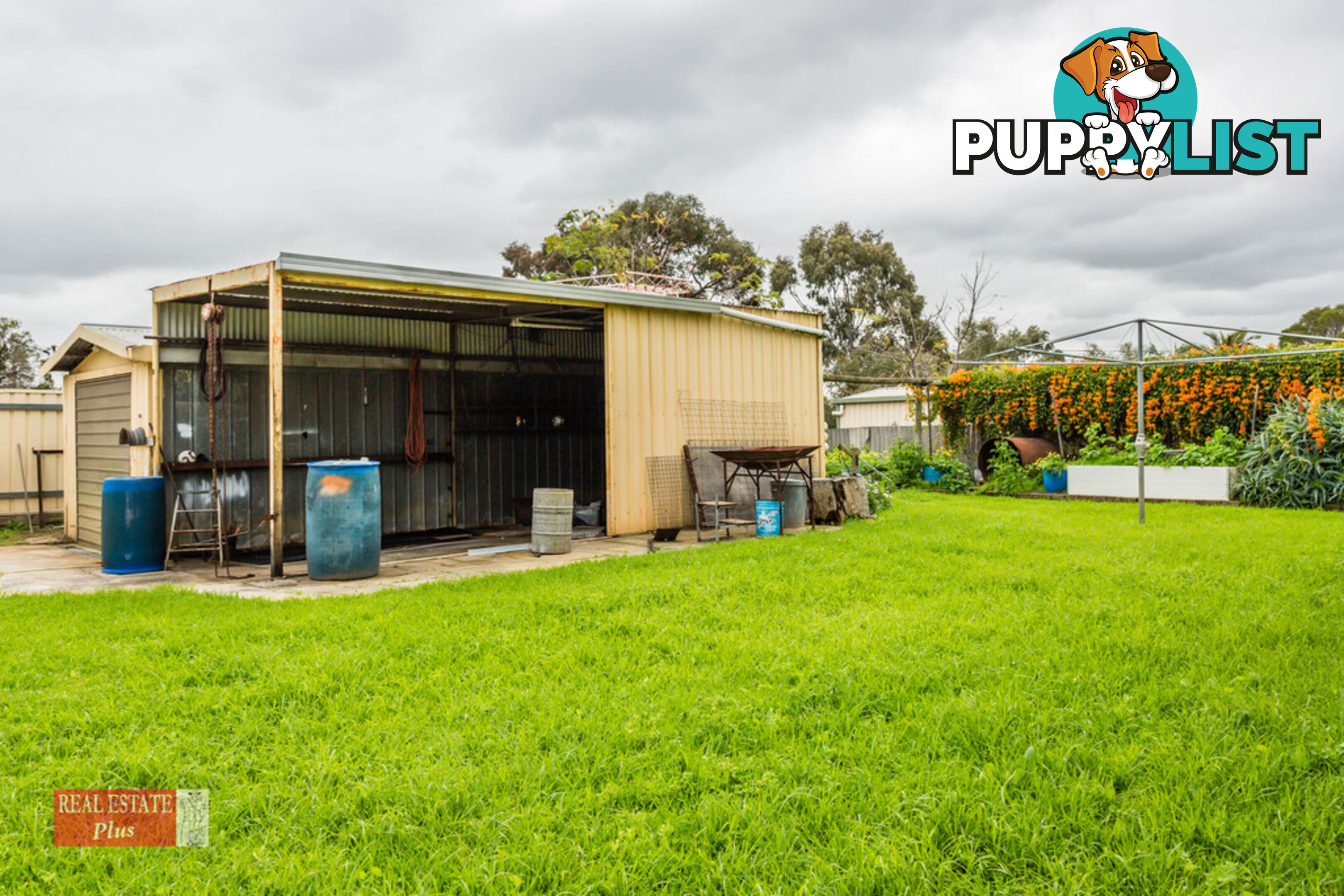 19 Redgum Avenue BELLEVUE WA 6056