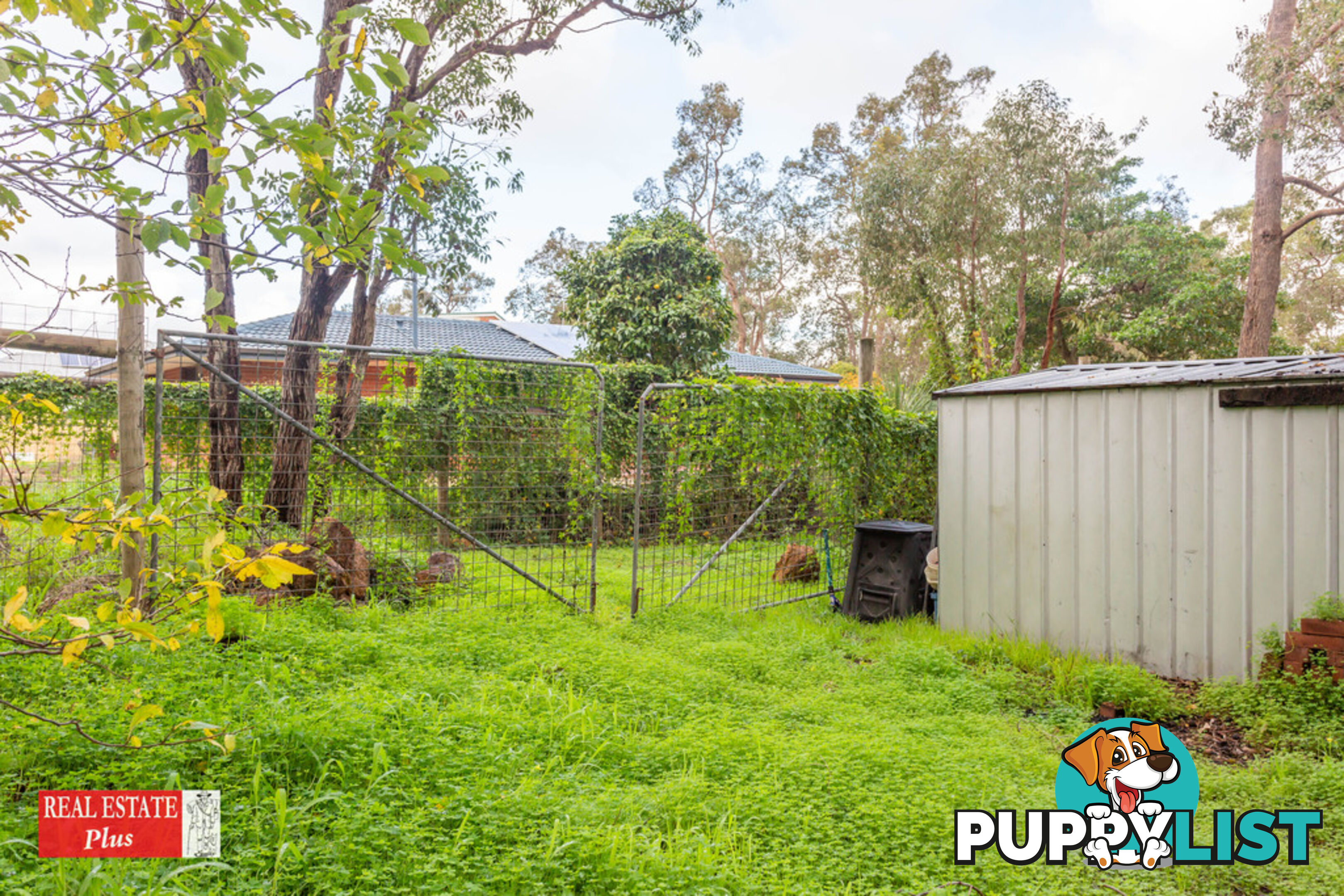 29 Hubert Street DARLINGTON WA 6070