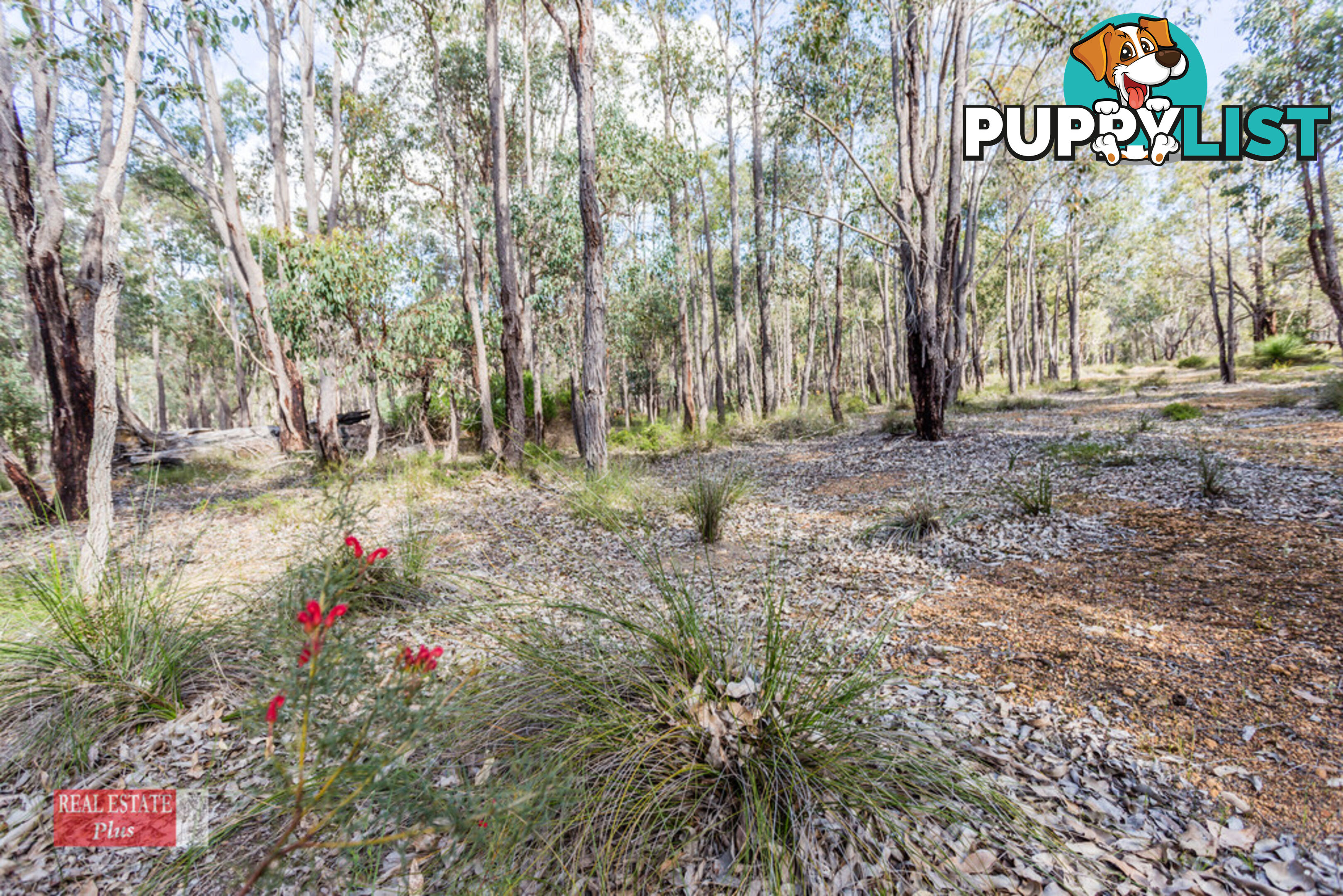 Lot. 511 Crest Side Close GIDGEGANNUP WA 6083