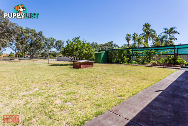 7 Victoria Road WEST SWAN WA 6055