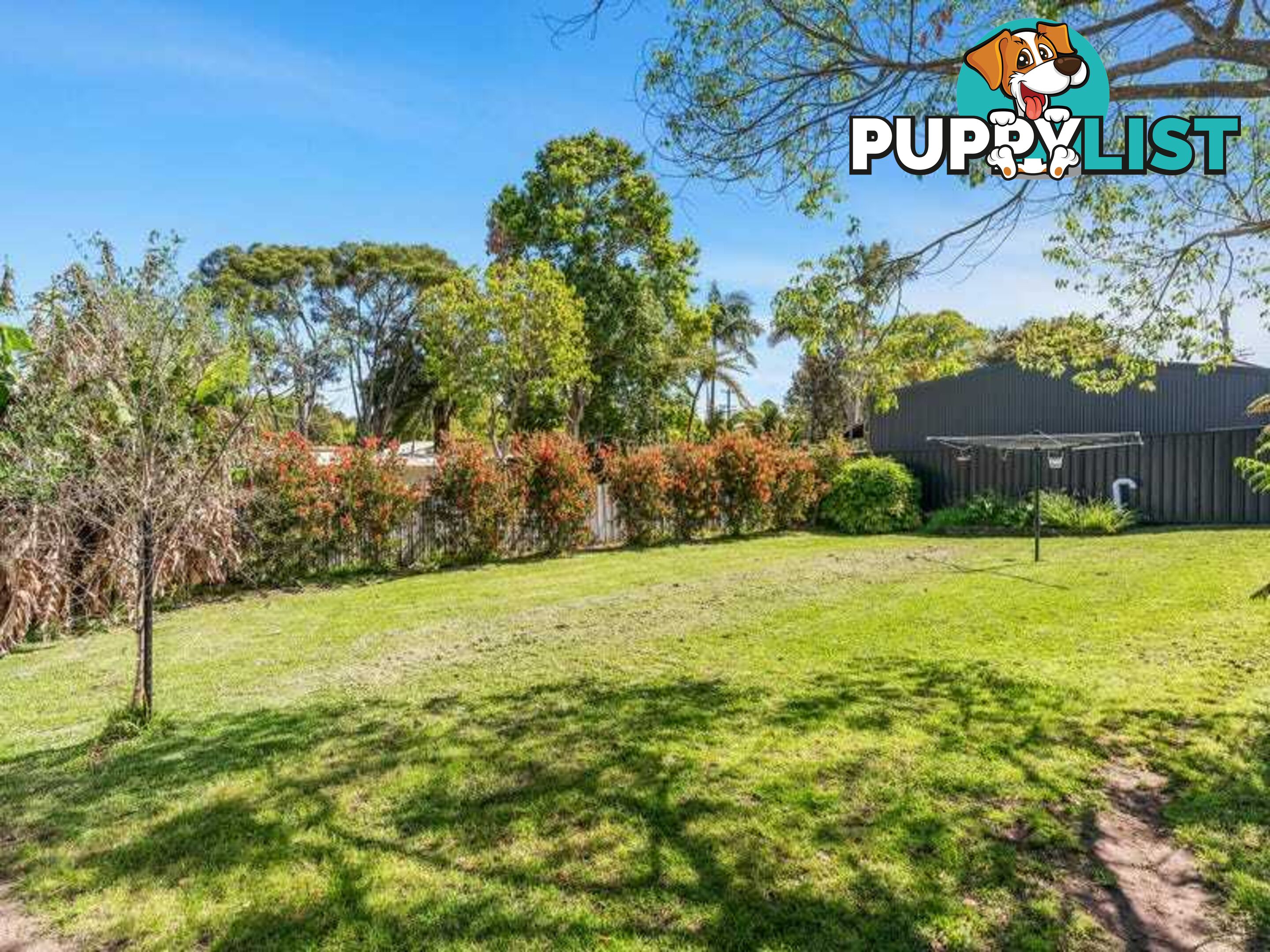 38A Coorumbung Rd Dora Creek NSW 2264