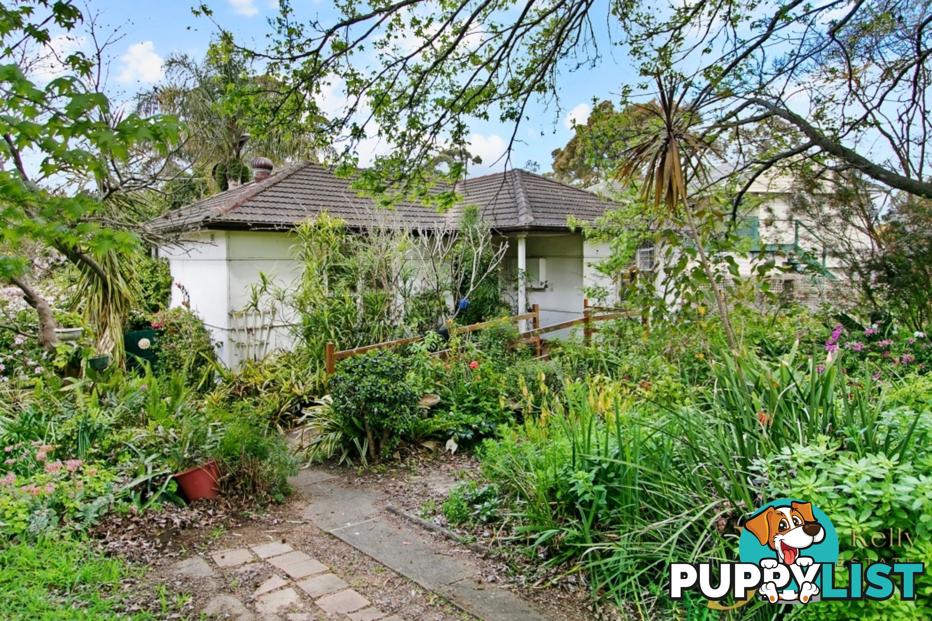 77 Moffatt Dr Lalor Park NSW 2147