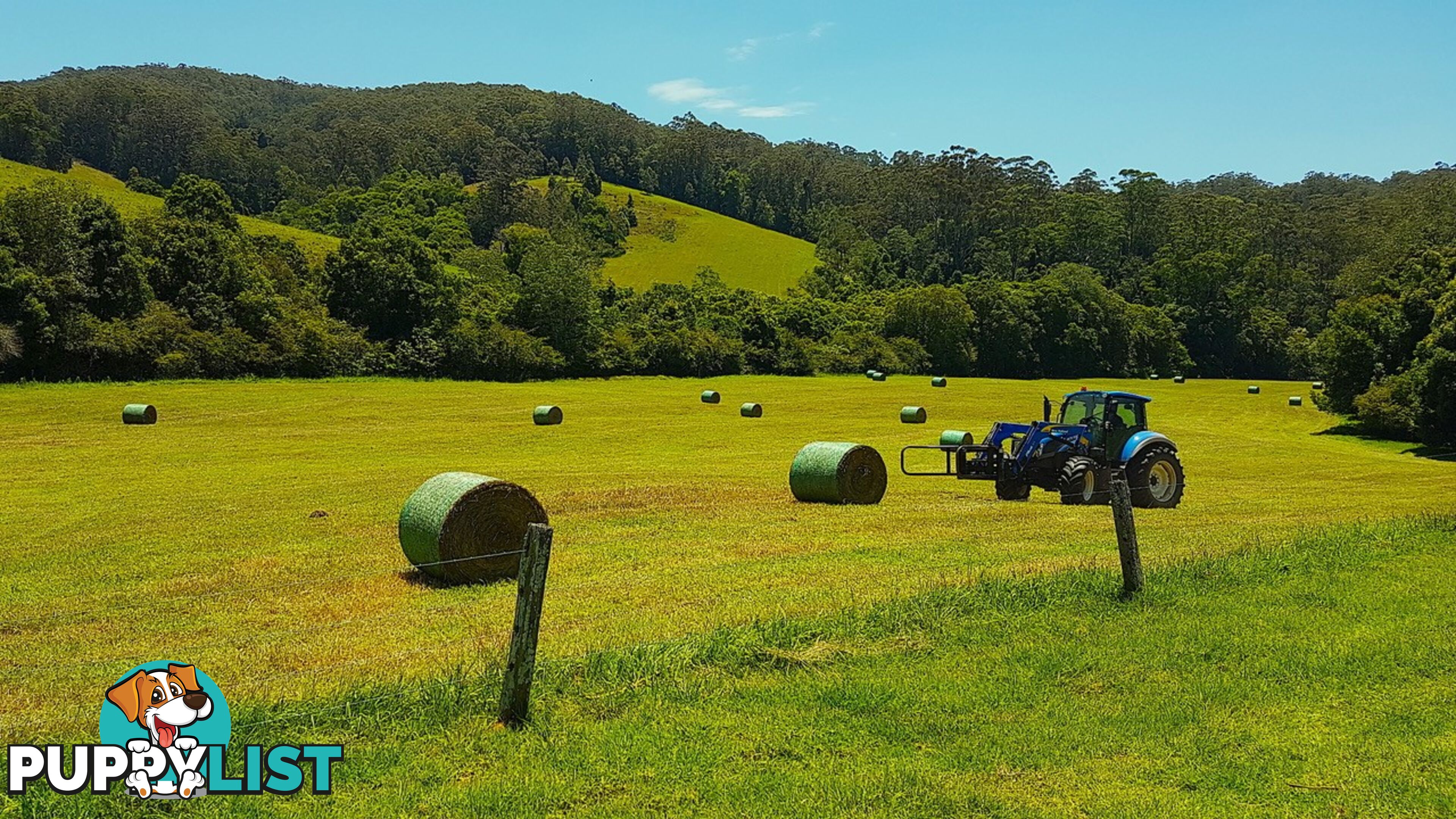 LORNE NSW 2439