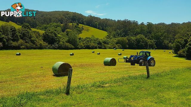 LORNE NSW 2439