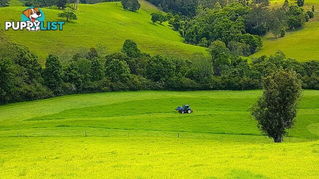 LORNE NSW 2439