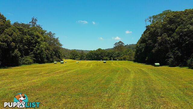 LORNE NSW 2439