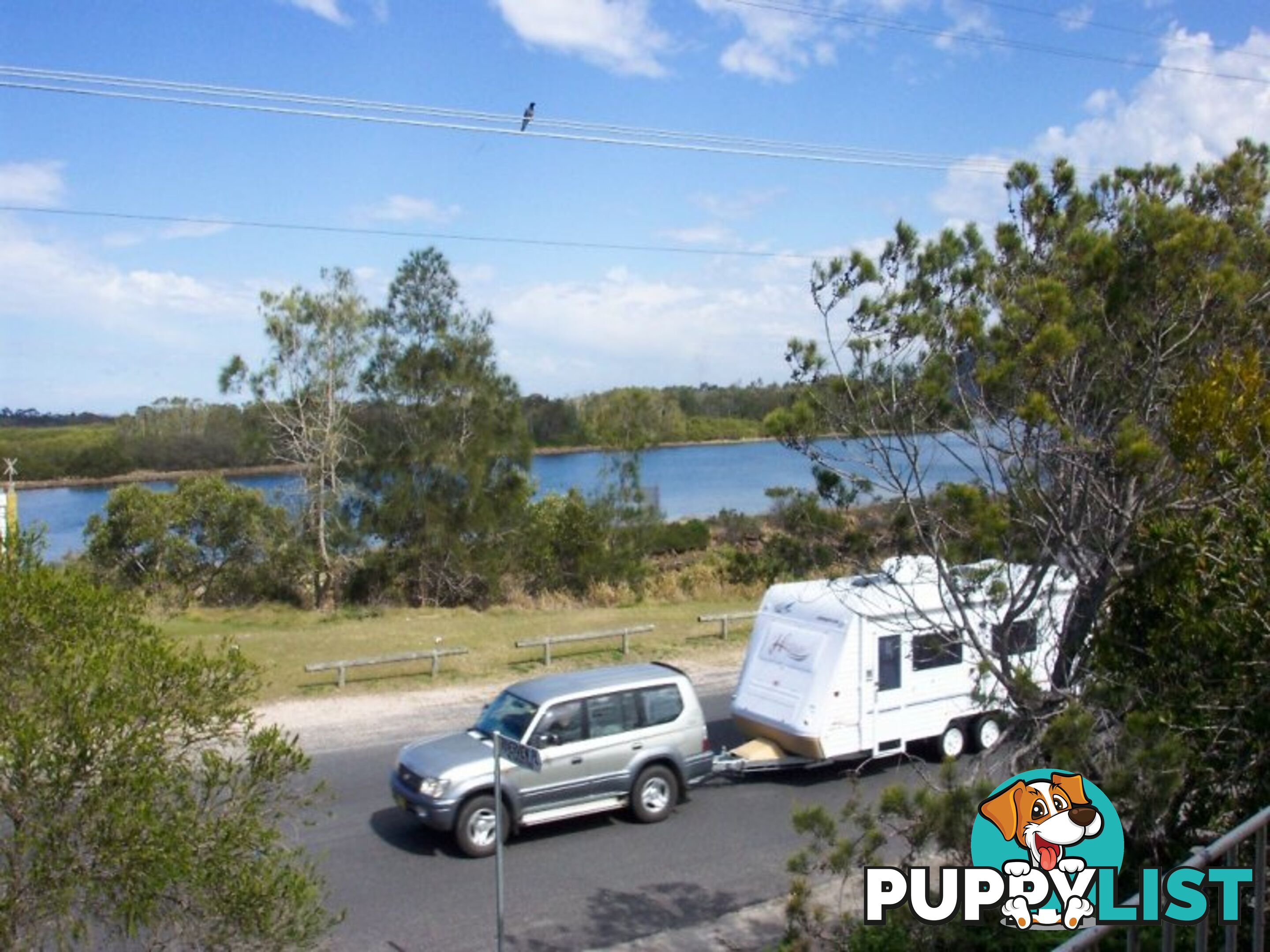 19 The Parade NORTH HAVEN NSW 2443