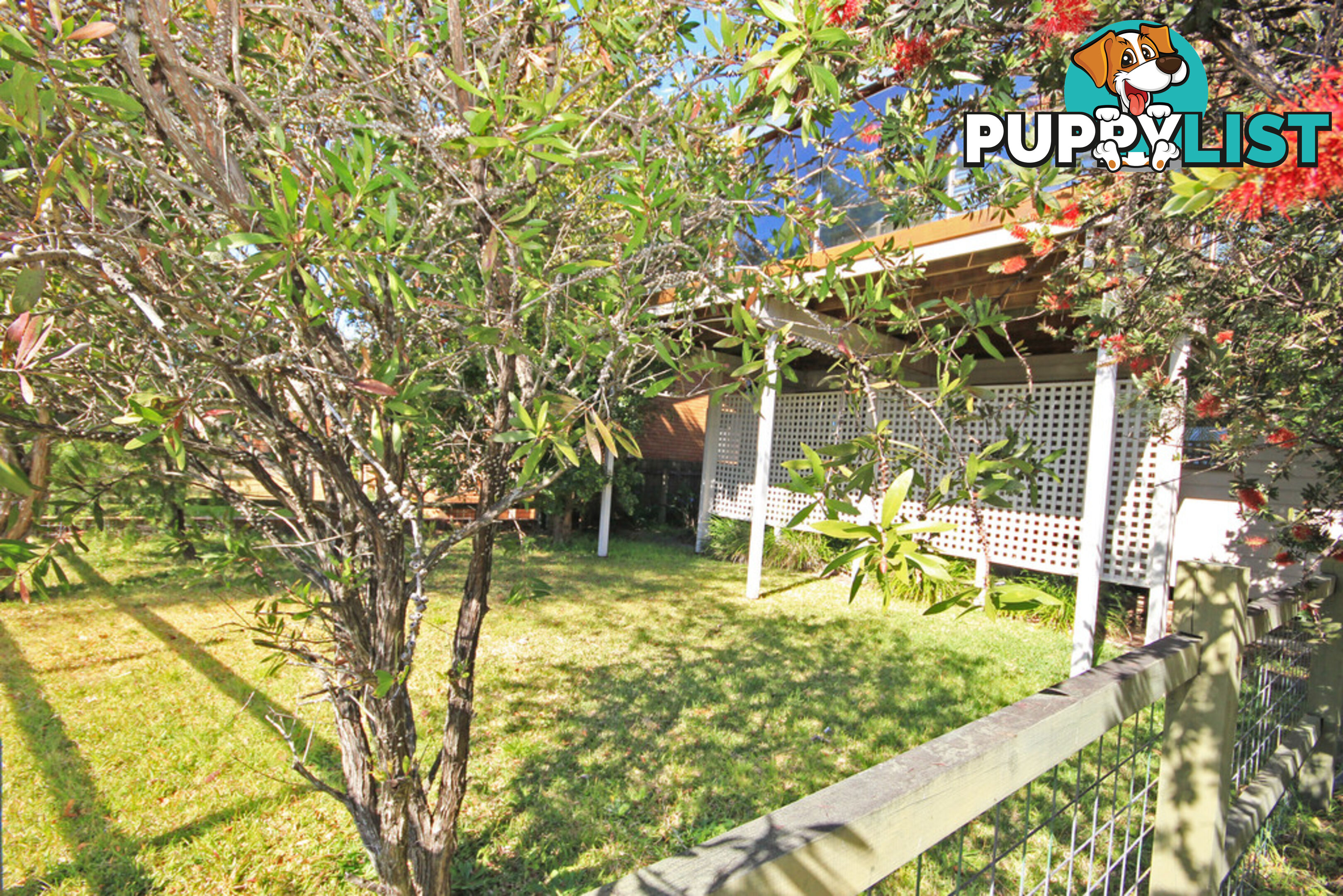 19 Bayside Avenue NORTH HAVEN NSW 2443