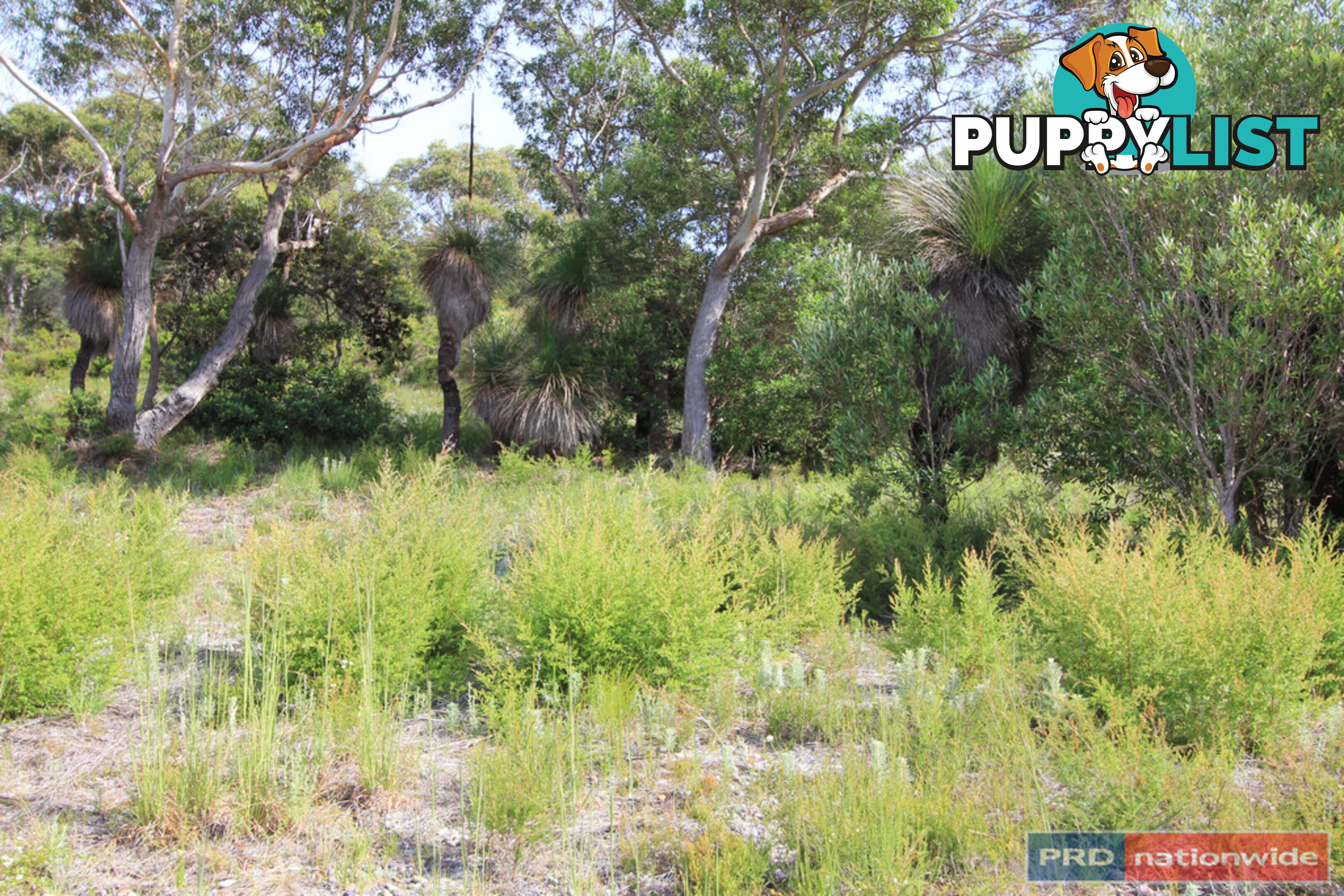 Lot 79 Prince Of Wales Drive DUNBOGAN NSW 2443