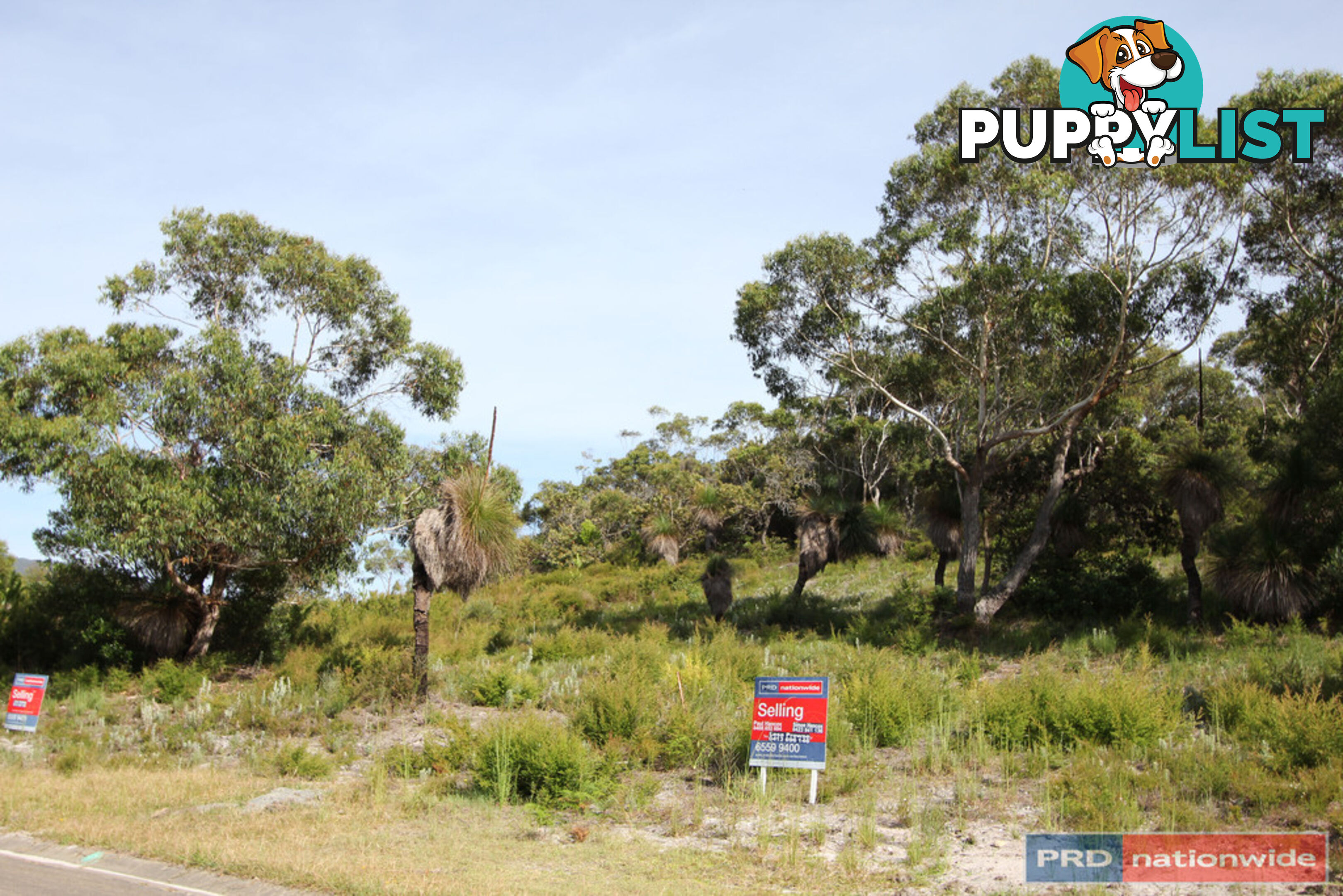 Lot 79 Prince Of Wales Drive DUNBOGAN NSW 2443