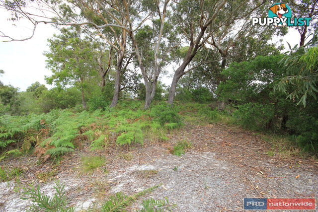 20 Birramal Drive DUNBOGAN NSW 2443