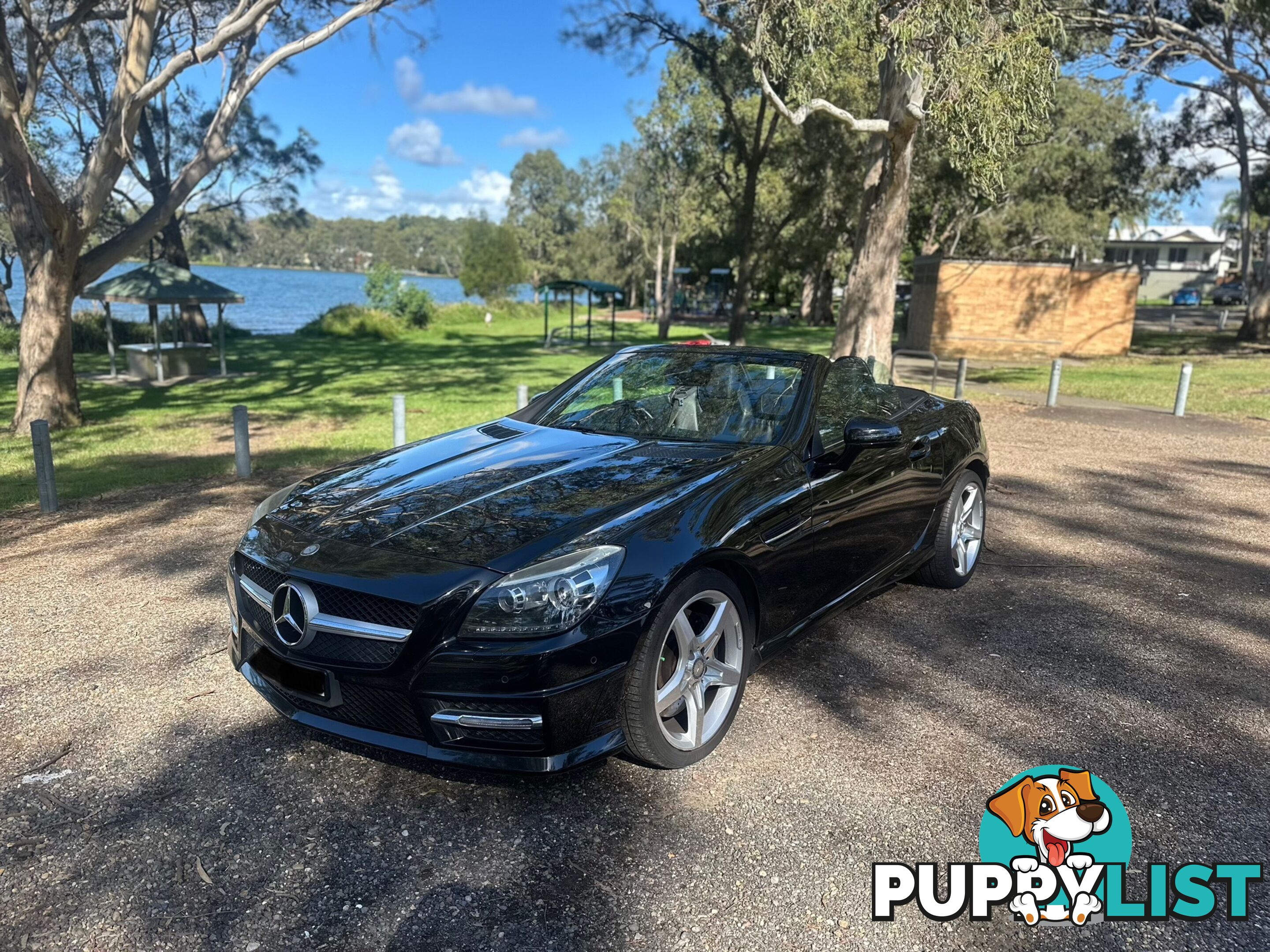 2014 Mercedes-Benz SLK-Class 250 SLK250 Convertible Automatic