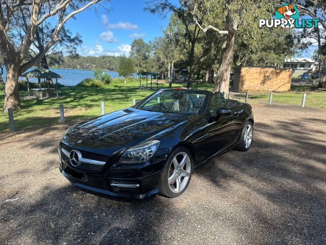 2014 Mercedes-Benz SLK-Class 250 SLK250 Convertible Automatic