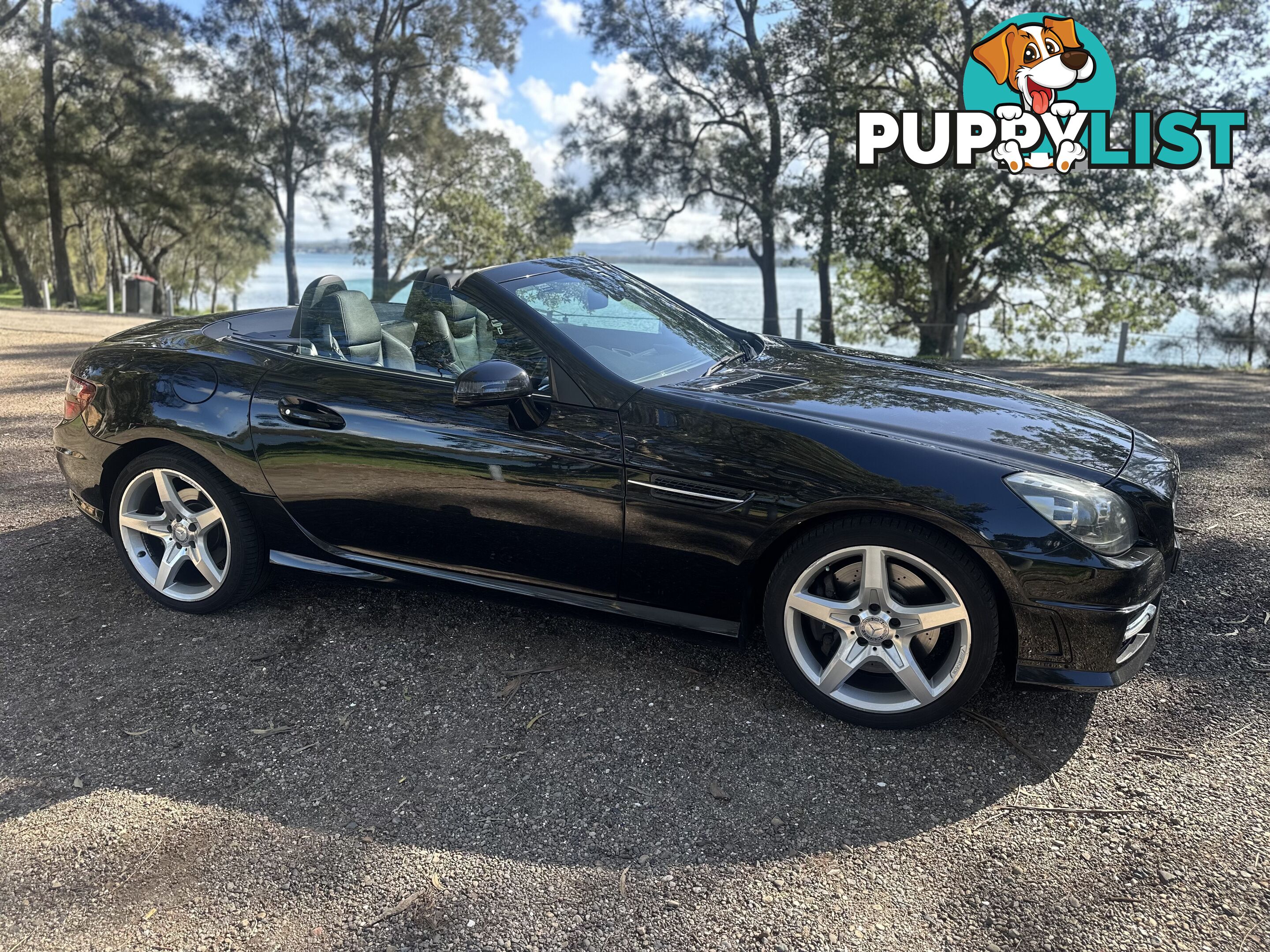 2014 Mercedes-Benz SLK-Class 250 SLK250 Convertible Automatic
