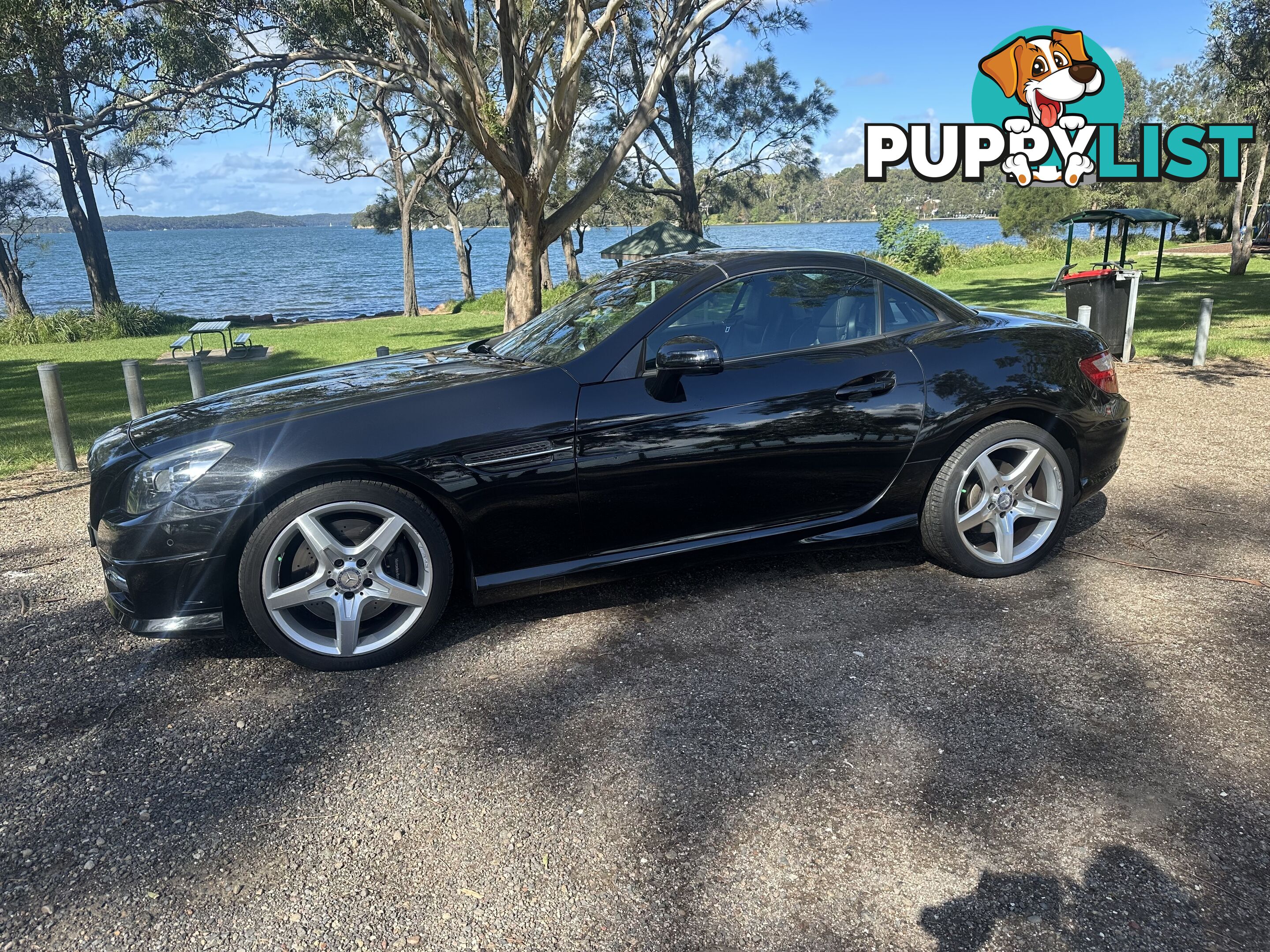 2014 Mercedes-Benz SLK-Class 250 SLK250 Convertible Automatic