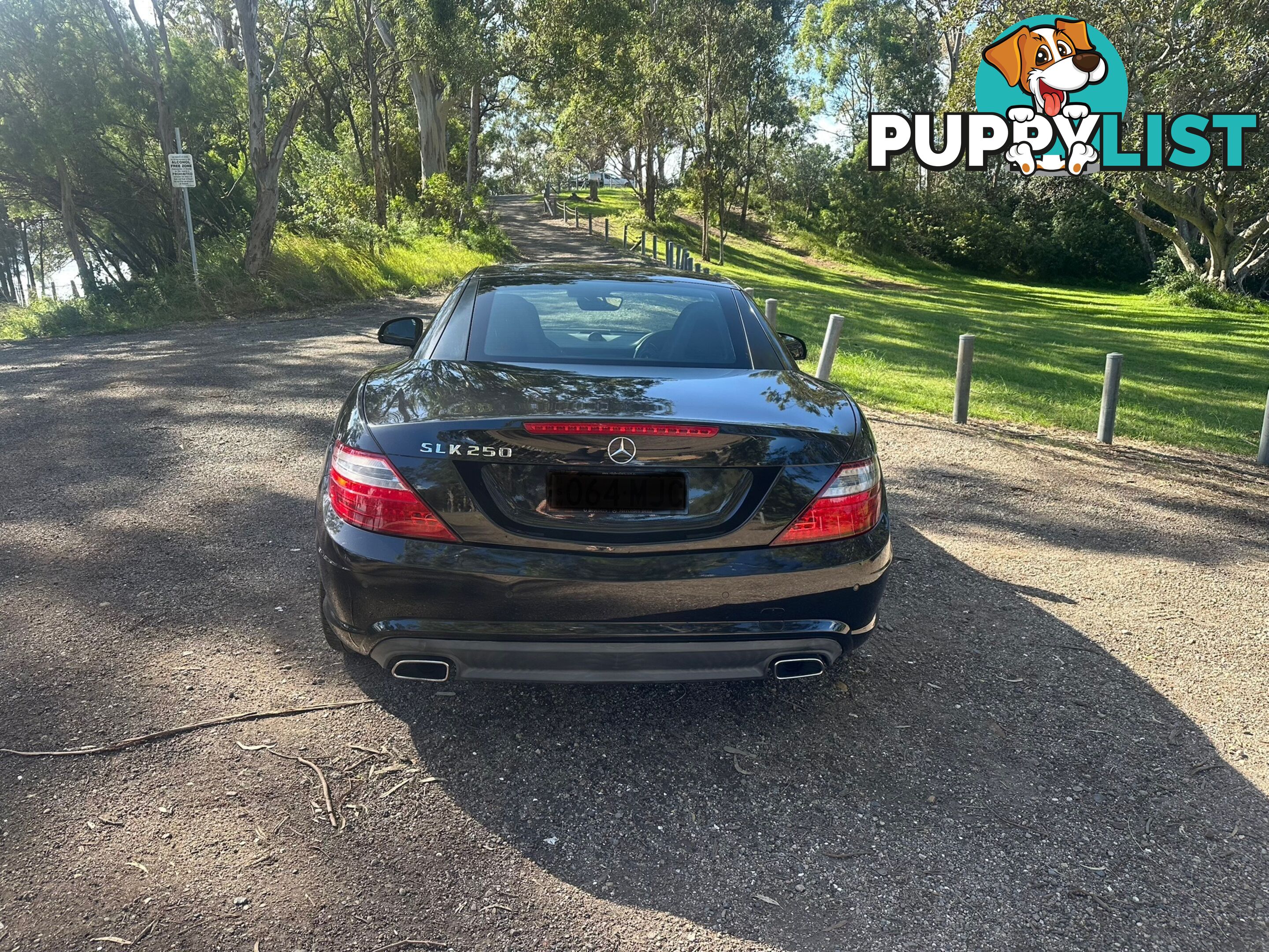 2014 Mercedes-Benz SLK-Class 250 SLK250 Convertible Automatic