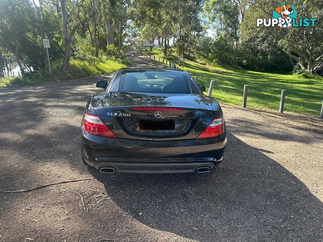 2014 Mercedes-Benz SLK-Class 250 SLK250 Convertible Automatic