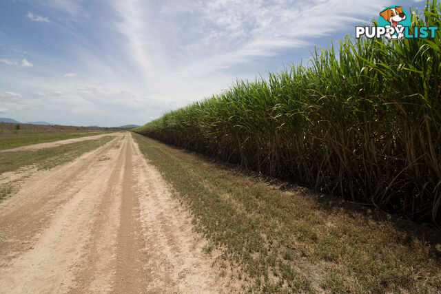 L43 Keith Venables Road UPPER HAUGHTON QLD 4809