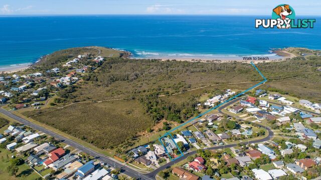 62 Ocean View Road ARRAWARRA HEADLAND NSW 2456