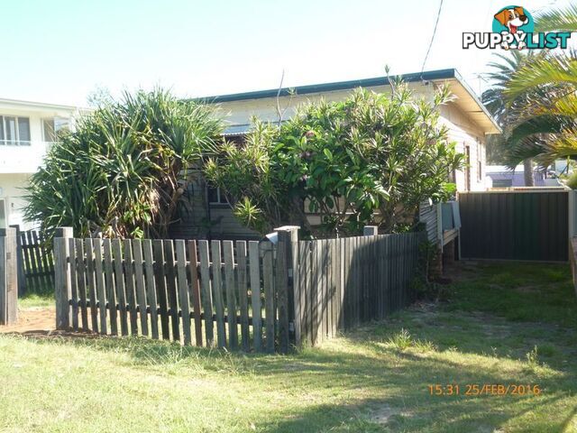 8 Hofmeier Close WOOLGOOLGA NSW 2456