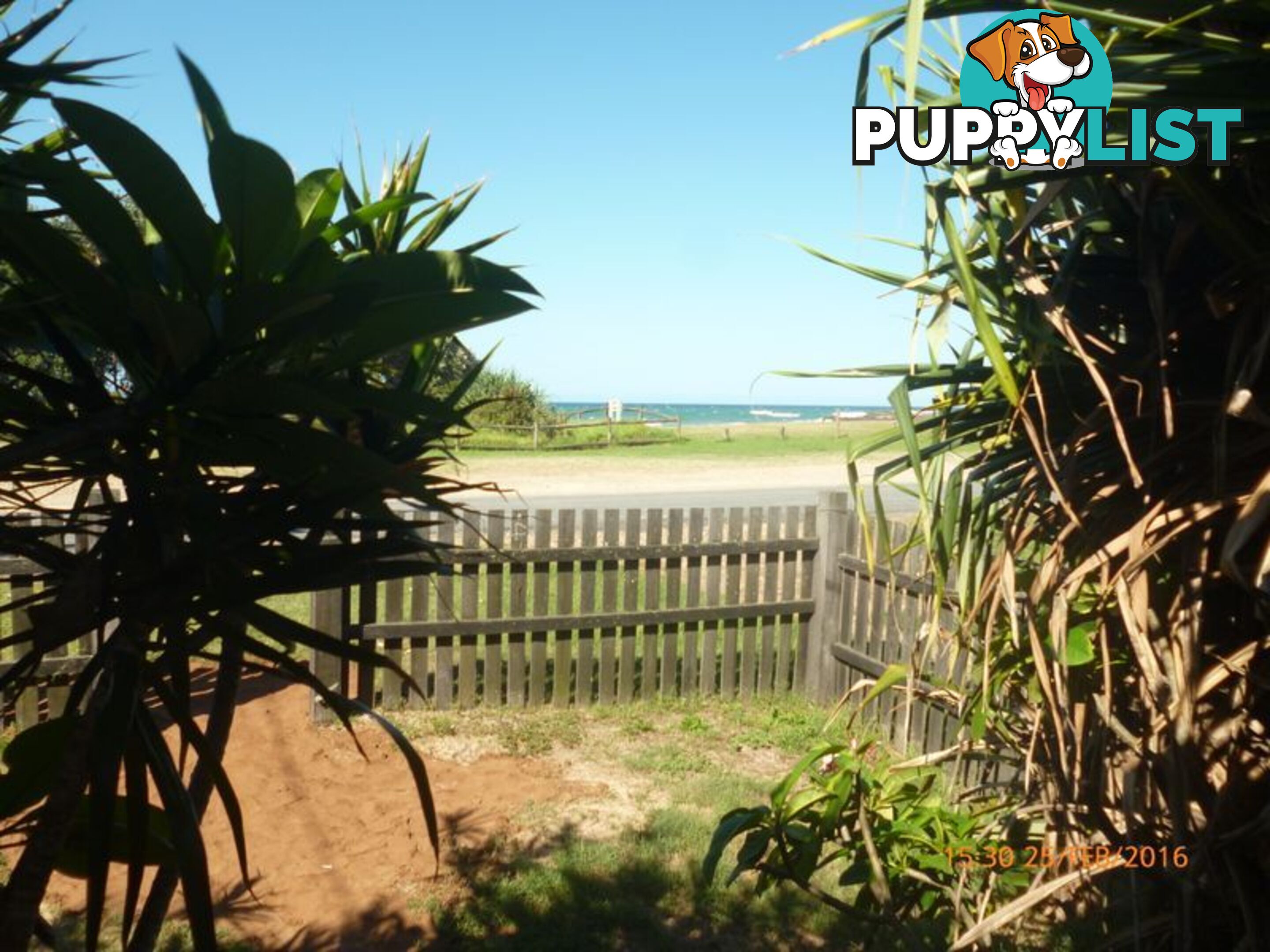 8 Hofmeier Close WOOLGOOLGA NSW 2456