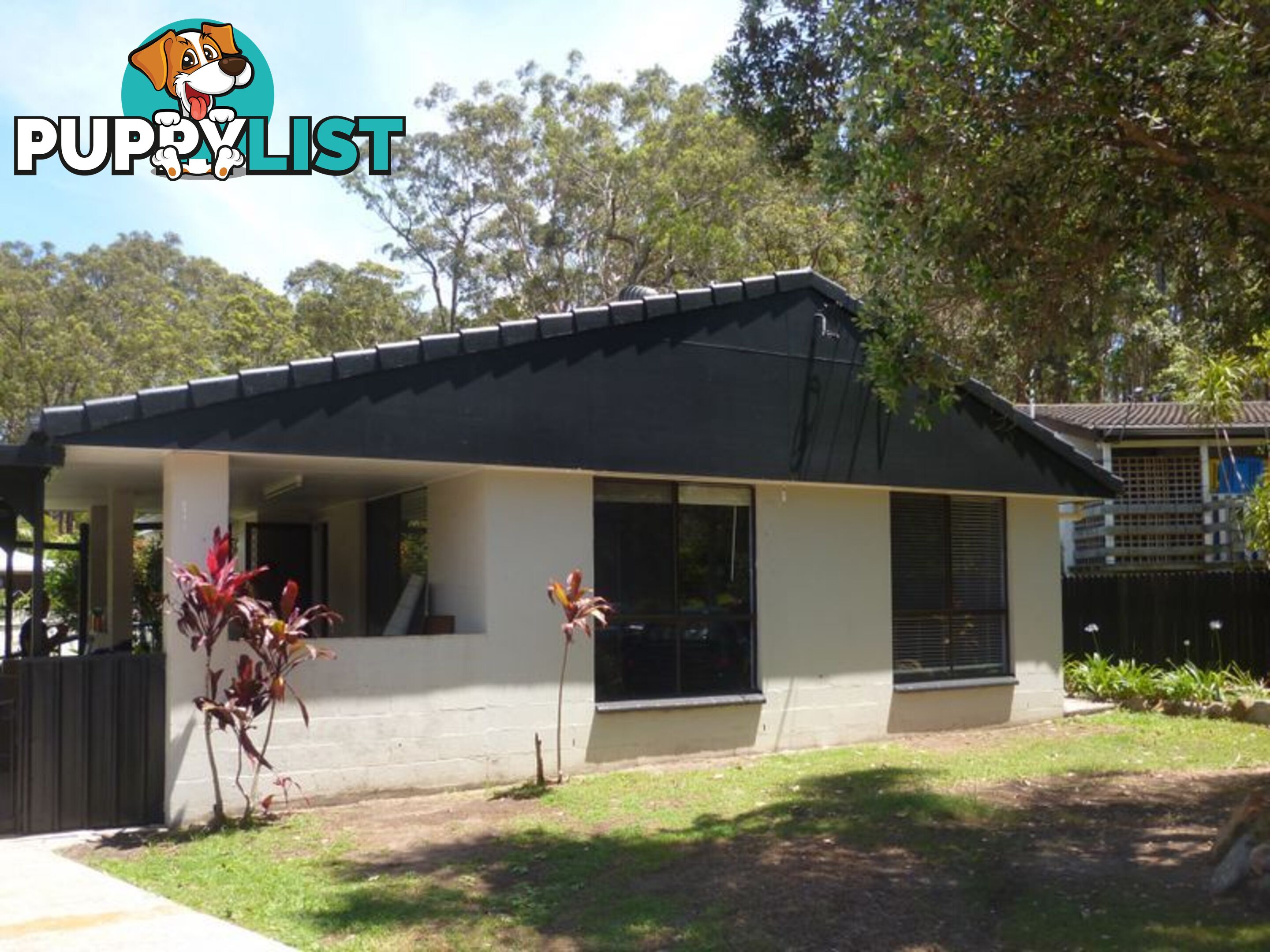 37 Blackbutt Avenue SANDY BEACH NSW 2456