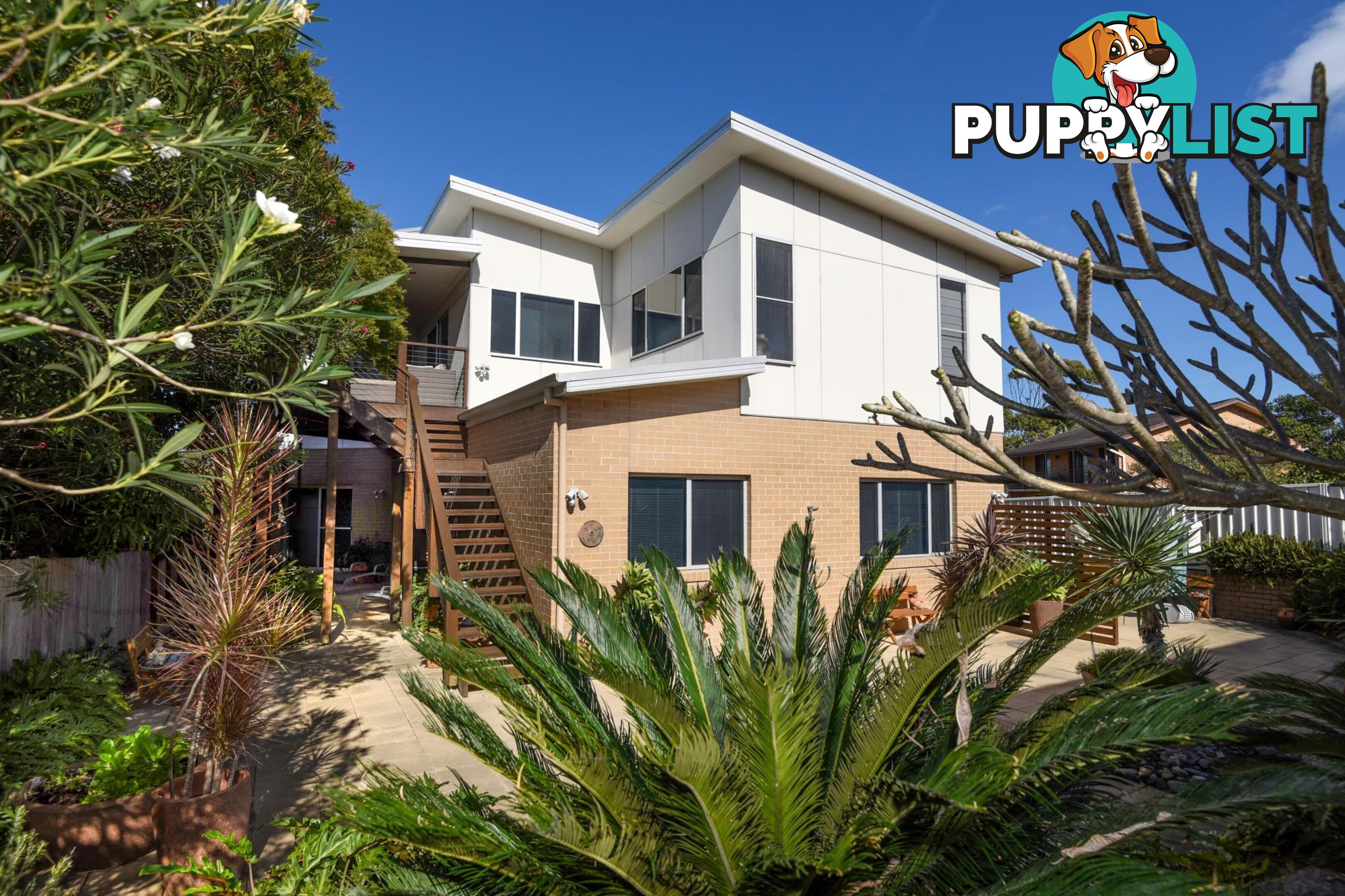 8 Blue Gum Avenue SANDY BEACH NSW 2456