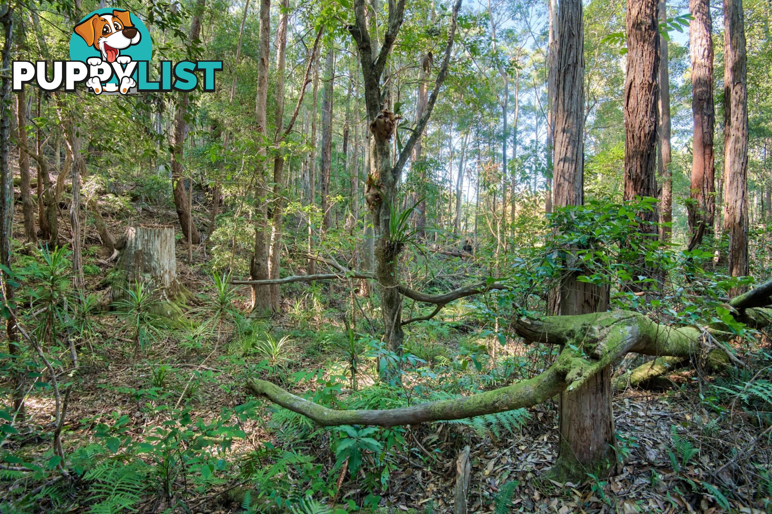 Lot 514 Skinner Close EMERALD BEACH NSW 2456