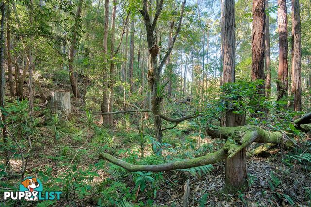 Lot 514 Skinner Close EMERALD BEACH NSW 2456