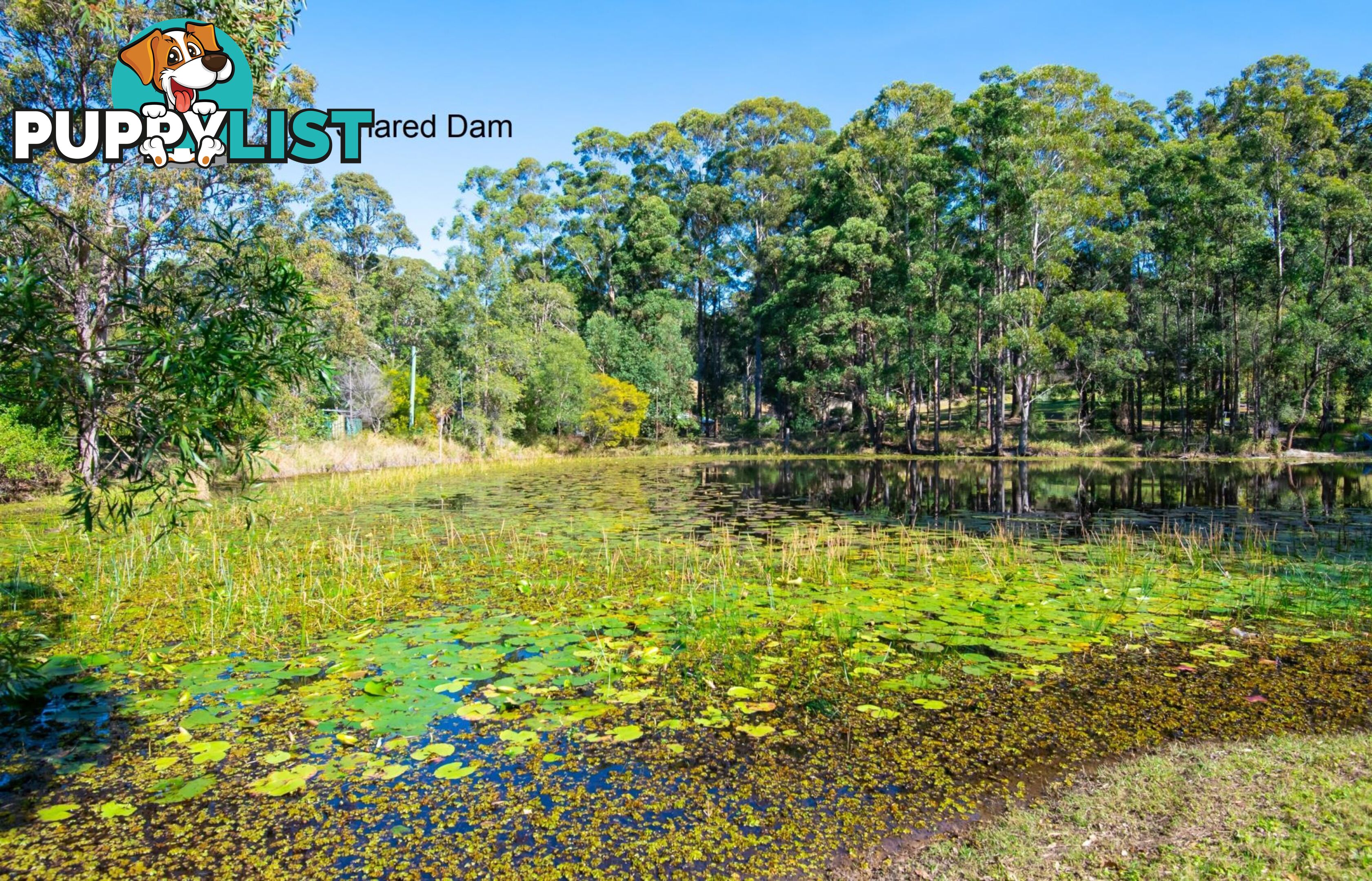 Lot 514 Skinner Close EMERALD BEACH NSW 2456