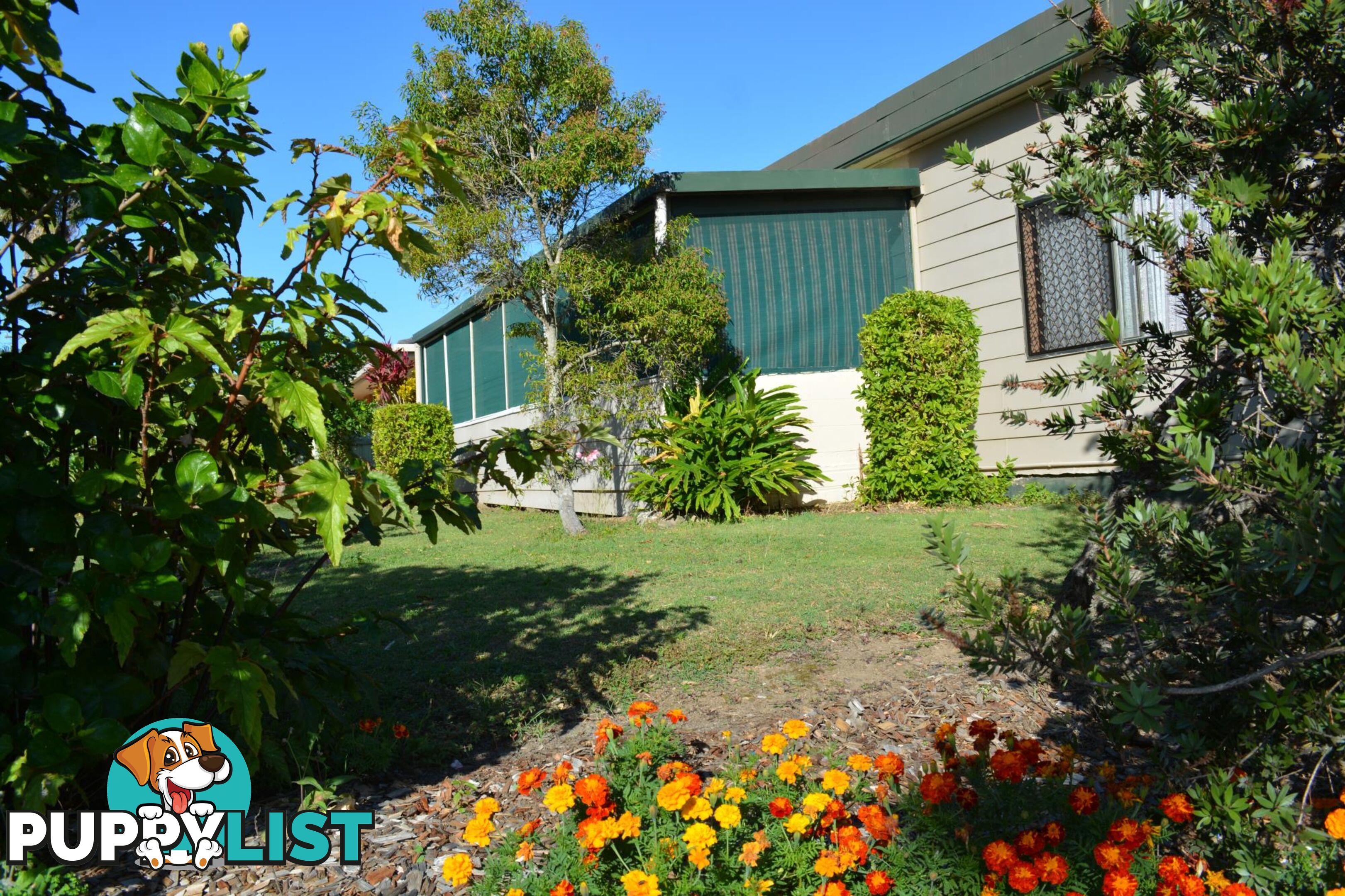 8 Diamond Head Drive SANDY BEACH NSW 2456