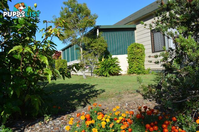 8 Diamond Head Drive SANDY BEACH NSW 2456